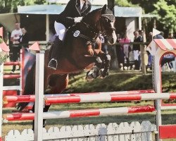 jumper Diabolo Junior (German Riding Pony, 2009, from Don Diabolo NRW)