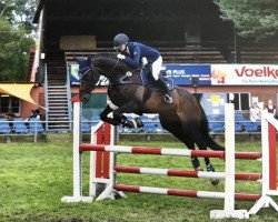 broodmare Lilly Mc Cloud (Hanoverian, 2011, from Licotus)