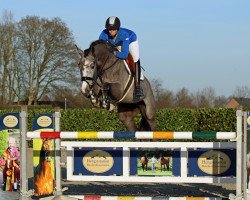 stallion Barr Bassid-h (Oldenburg show jumper, 2016, from Balou du Rouet)