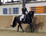 dressage horse Fräulein Colada (Oldenburg, 2011, from Fürstenball)