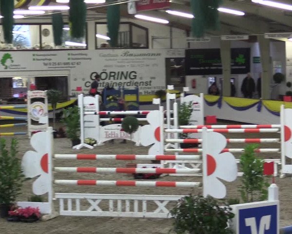 Reitturnier Vreden 2016