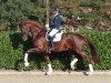 stallion Vivat Rex (Oldenburg, 2015, from Vivaldi)