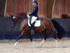 broodmare Luna 1219 (German Riding Pony, 2001, from Llanarth Mostyn Triton)