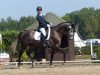 dressage horse Jackpot 41 (KWPN (Royal Dutch Sporthorse), 2014, from Everdale)