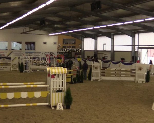 Reitturnier Arnsberg-Voßwinkel 2016