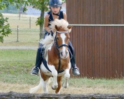 dressage horse Seiko (unknown, 2005)