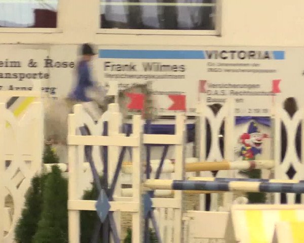 Reitturnier Arnsberg-Voßwinkel 2016
