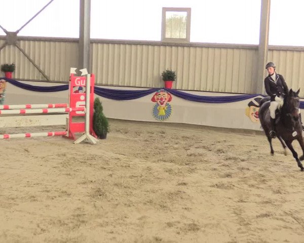 Reitturnier Arnsberg-Voßwinkel 2016