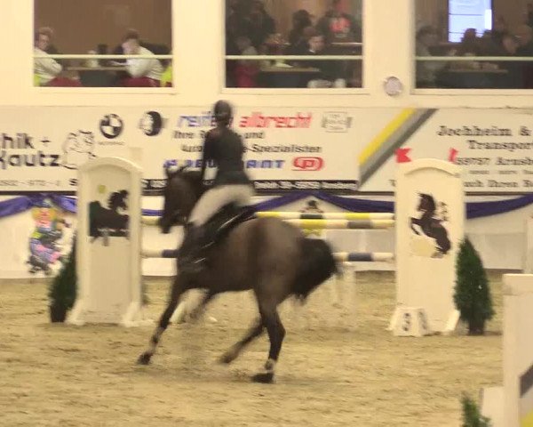 Reitturnier Arnsberg-Voßwinkel 2016