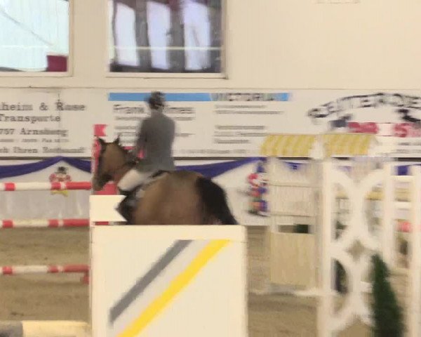 Reitturnier Arnsberg-Voßwinkel 2016