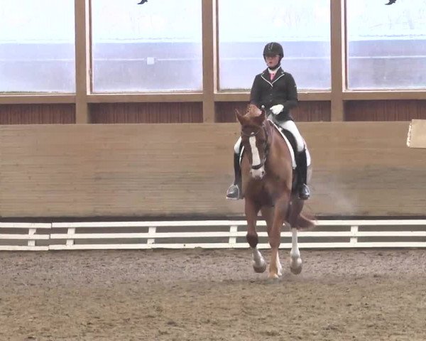 Reitturnier Großostheim 2016