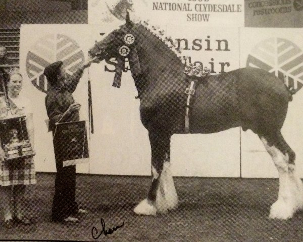 Deckhengst PTS Zippity Do Dah (Clydesdale, 1993, von Northwest Glenords Shea)