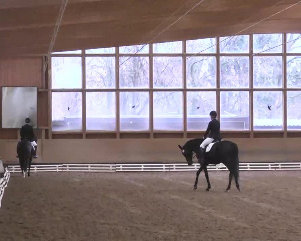 Reitturnier Großostheim 2016