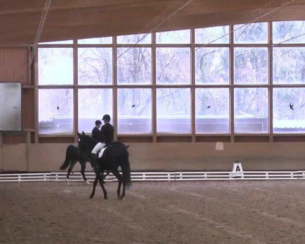 Reitturnier Großostheim 2016