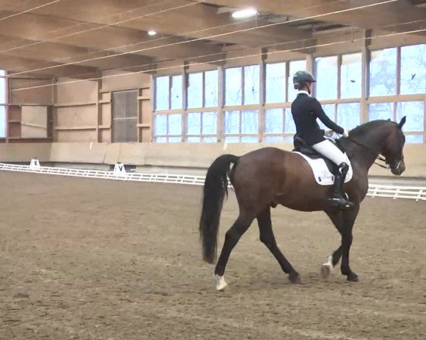 Reitturnier Großostheim 2016