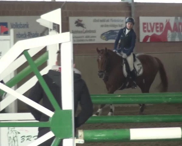 Reitturnier Lembeck 2016