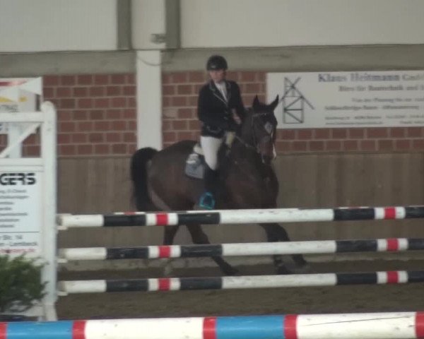 Reitturnier Lembeck 2016