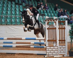 Springpferd RUB Roulette (Deutsches Sportpferd, 2014, von Nebrasco)