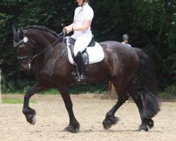 dressage horse Thourek (Friese, 2001, from Thomas)