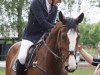 jumper Barbel 57 (Hanoverian, 2012, from Balou du Rouet)