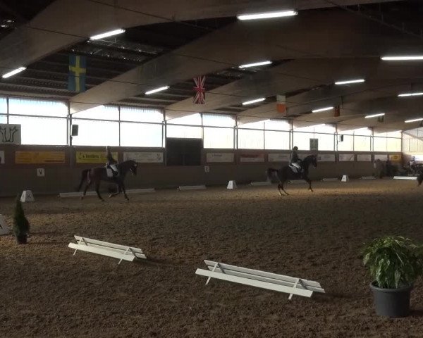 Reitturnier Lembeck 2016