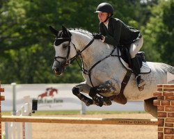 Zuchtstute Ewivonne (KWPN (Niederländisches Warmblut), 2009, von Lucky Boy)