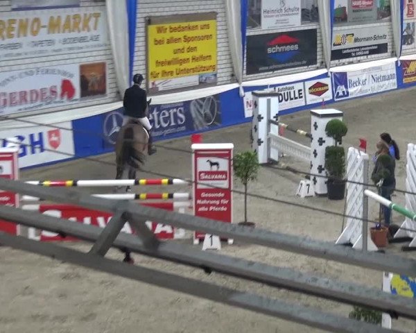 Spring-Pferde-Festival Lathen 2016