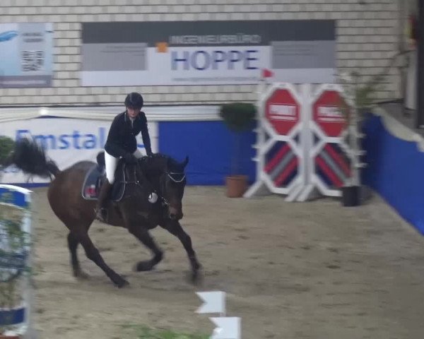 Spring-Pferde-Festival Lathen 2016