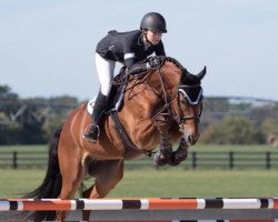 Springpferd Jericho (Belgisches Warmblut, 2009, von Echo van het Neerenbosch)