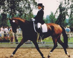 broodmare Arogna (Trakehner, 1986, from Arogno)