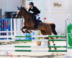 jumper Golden Girl (KWPN (Royal Dutch Sporthorse), 2011, from Boss)