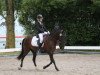 dressage horse Vanessa 219 (German Riding Pony, 2000, from Valido)