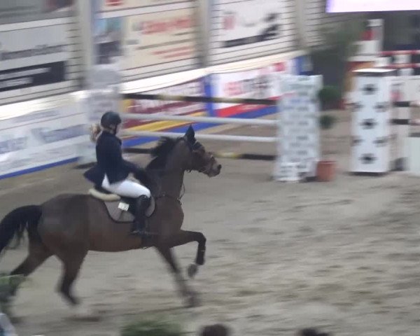 Spring-Pferde-Festival Lathen 2016