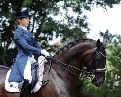 dressage horse FairPlay (Rhinelander, 2013, from Feedback 16)