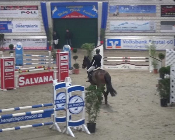 Spring-Pferde-Festival Lathen 2016