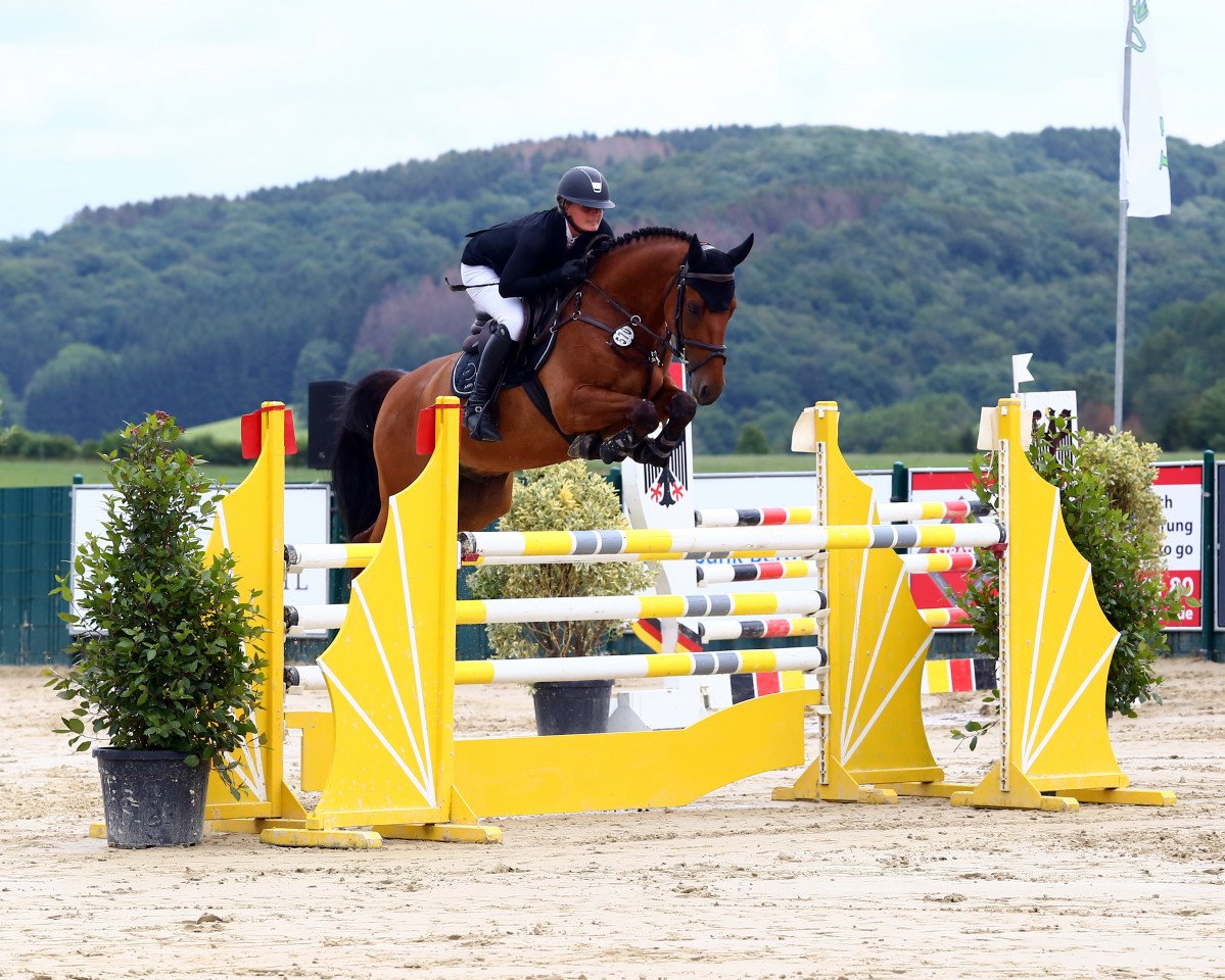 jumper Nico 1468 (Rhinelander, 2014, from Numero Uno)