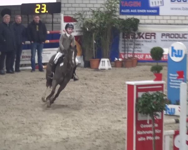 Spring-Pferde-Festival Lathen 2016