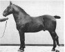 stallion Roland 2356 (Oldenburg, 1910, from Rudolf 1531)