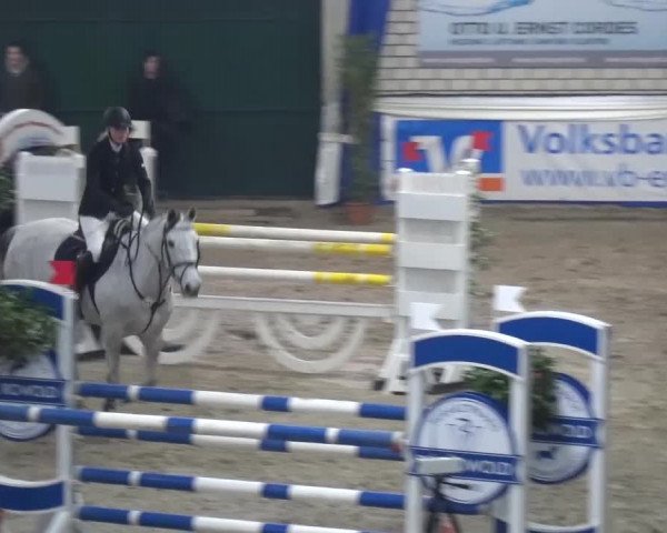 Spring-Pferde-Festival Lathen 2016