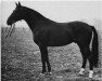 stallion Ovid (Hanoverian, 1963, from Obermaat)