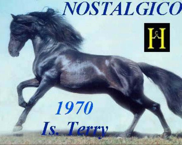 stallion Nostalgico (Pura Raza Espanola (PRE), 1970, from Hosco IV)