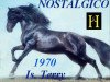 stallion Nostalgico (Pura Raza Espanola (PRE), 1970, from Hosco IV)