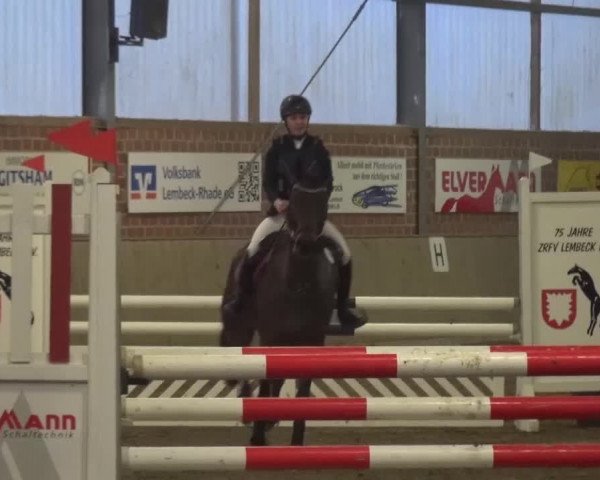 Reitturnier Lembeck 2016