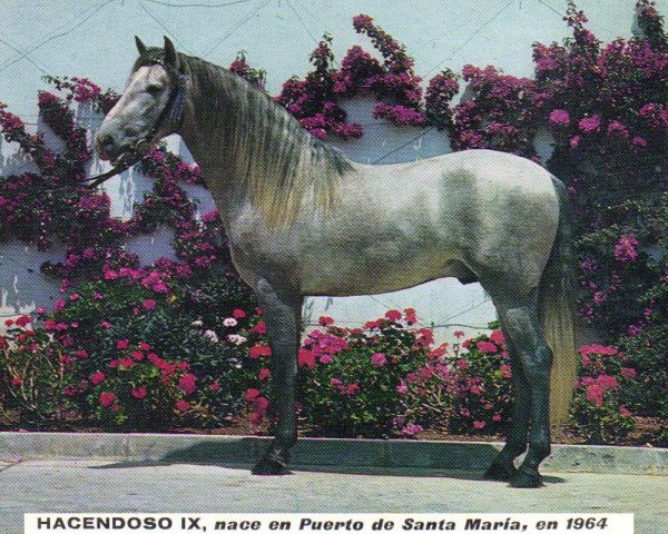 Deckhengst Hacendoso IX (Pura Raza Espanola (PRE), 1964, von Descarado II)