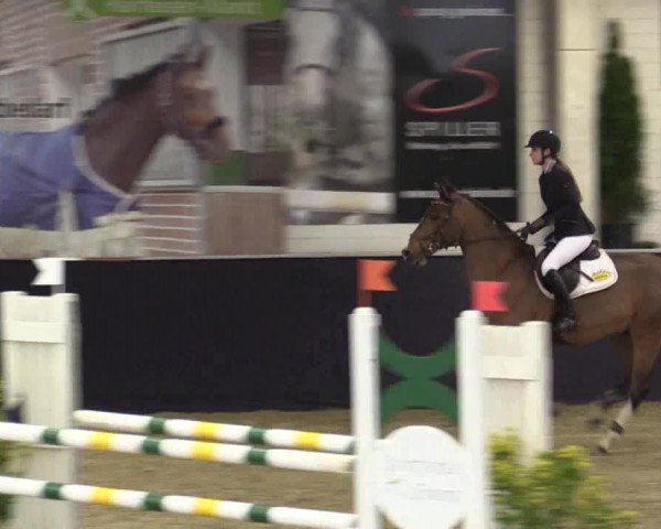 Reitturnier Borken 2016