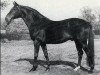 horse Pik Koenig (Hanoverian, 1968, from Pik As xx)