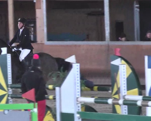 Reitturnier Dettingen 2016