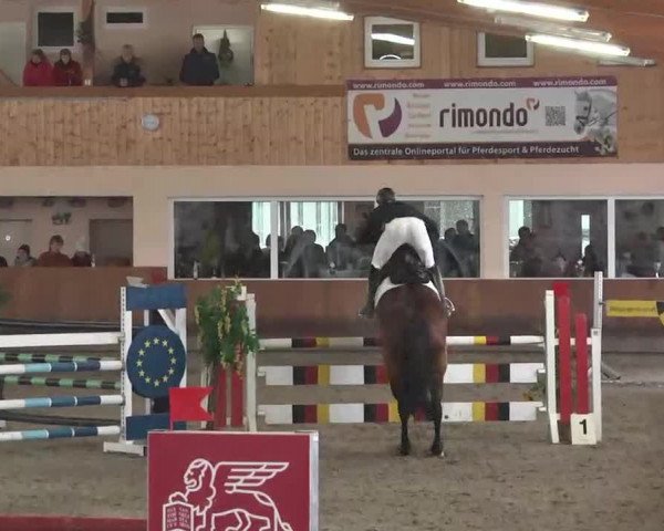 Reitturnier Dettingen 2016