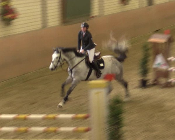 Reitturnier Hamm-Rhynern 2016