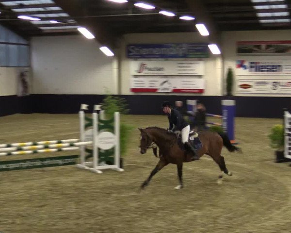 Reitturnier Borken 2016